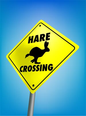 Hare Crossing